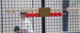 Skagen/Frederikshavn Padel taber tredje DM-finale i træk