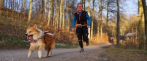 Løb med din hund i Elling Plantage på lørdag