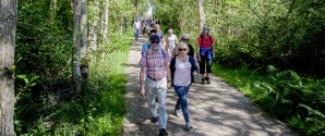 Ansøg nu: Friluftsrådet uddeler 17 millioner kroner til projekter
