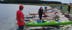 Sommerklubtur til Gamborg Fjord på Fyn