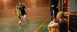 Dansk Skoleidræt søger om tilskud til foreningsfestivaler