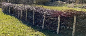 Få øjnene op for kommunens flora og fauna