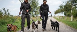Støt Nordjyllands hunde og få en dag med familien