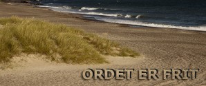 Forringelserne vil ingen ende tage for de svageste ældre i Frederikshavn Kommune