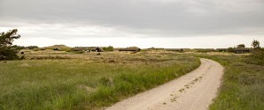 Nordjysk rejsekampagne gik lige i hjertet på amerikanerne