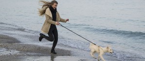 Husk det nu: 1. april skal strandhunden i snor