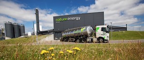 Notat om grundvand, trafik og afstand til boliger ved biogasanlæg