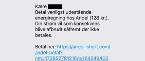 Svindelbølge rammer lige nu danske elkunder