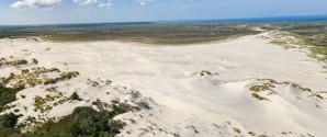 Natur på skoleskemaet: 144.000 børn skal udforske naturen i næste uge