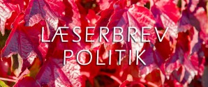 Demokratiets Hus udfordres af forvaltningen