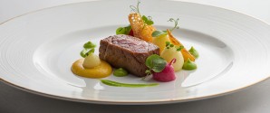 Nyt samarbejde med The MICHELIN Guide vil sætte Skagen