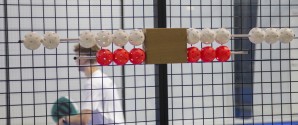 Padel: Skagen/Frederikshavn jagter sin fjerde DM-finale i træk