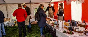 Æblets dag på Knivholt i høj solskin