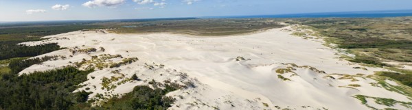 Natur på skoleskemaet: 144.000 børn skal udforske naturen i næste uge