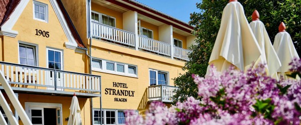 Ny akkrediteret bestyrelsesuddannelse i Skagen