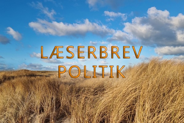 Min stemme går til……….