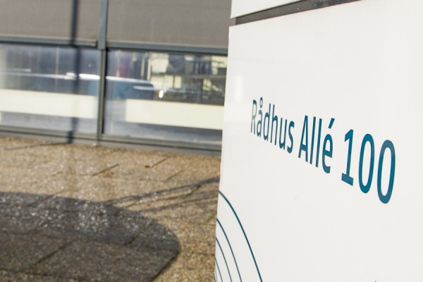 Ansættelse af ny direktør til kommunen