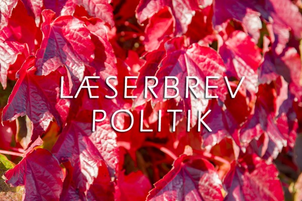 Jane Bengtsen: Jeg håber ikke, jeg står skuffet og illusionsløs i 2030
