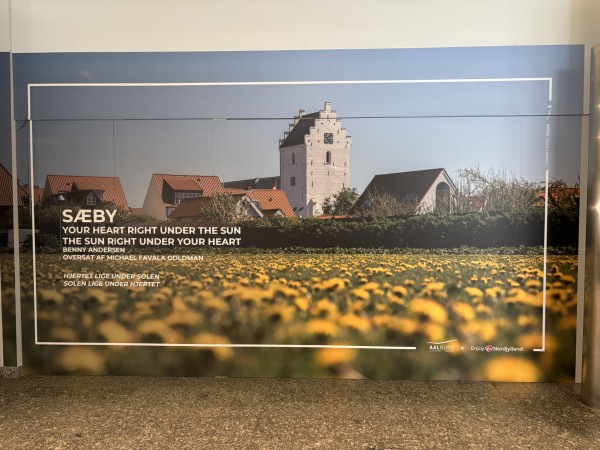 Aalborg Lufthavn udsmykkes med stort Sæby foto