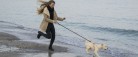 1. april skal hunden i snor på stranden