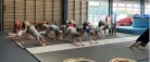 Springteam Sæby fik besøg af kommunens sommercamp