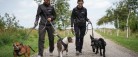 Støt Nordjyllands hunde og få en dag med familien