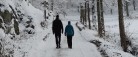 Årets julemærkemarch afvikles søndag den 1. december