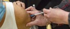 Opdateret covid-19-vaccine giver markant beskyttelse til ældre