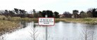 Regnvandsbassiner – for naturen, ikke til badning