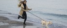1. april skal hunden i snor på stranden