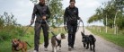 Støt Nordjyllands hunde og få en dag med familien