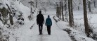 Årets julemærkemarch afvikles søndag den 1. december