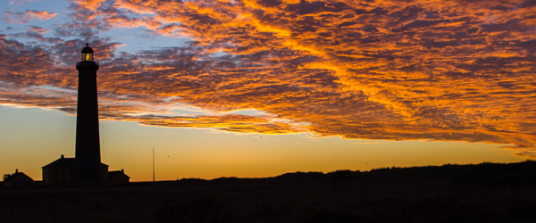 European Birdwatch Day i Skagen